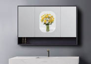 Installation and design of Hotel Bathroom Mirror